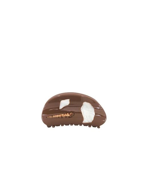 Casa Clara Brown Conch Hair Clip