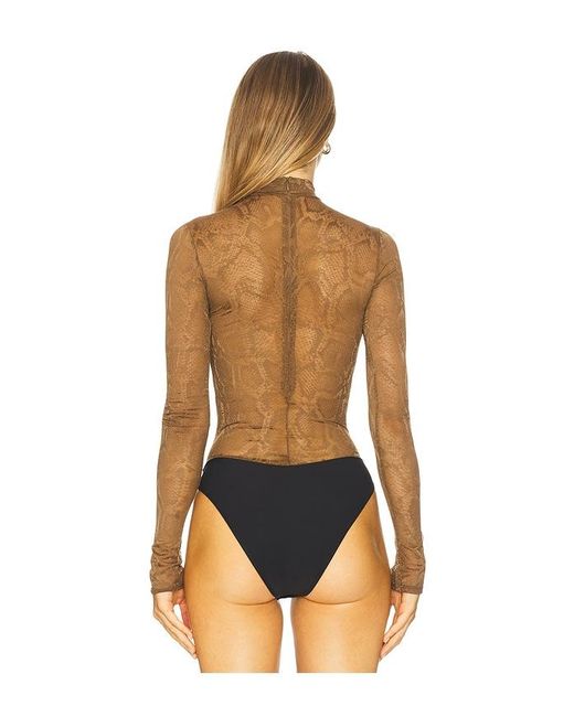 BODY en Brown LAPOINTE