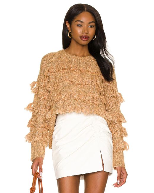 aurelia sweater jacket