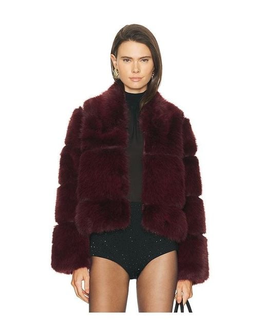 Apparis Red Sai Sable Coat