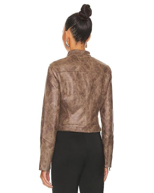Lioness Black Bella Moto Jacket