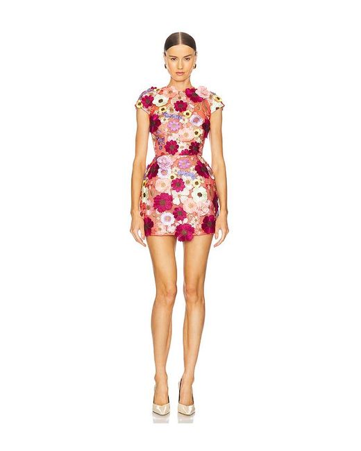 Bronx and Banco Red Jasmine Cap Sleeve Mini Dress