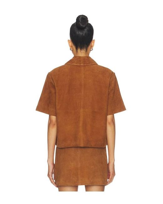 ALIGNE Brown Oberteil Jane