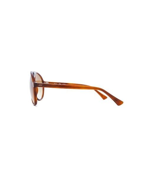 Lexxola Brown Bella Sunglasses