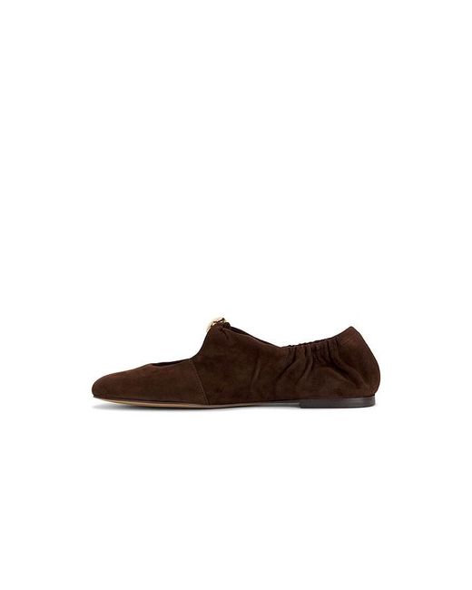 Dolce Vita Brown Cornel Flat