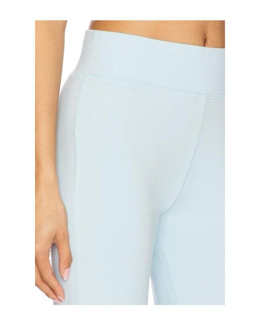 Negative Underwear Blue Club Flare