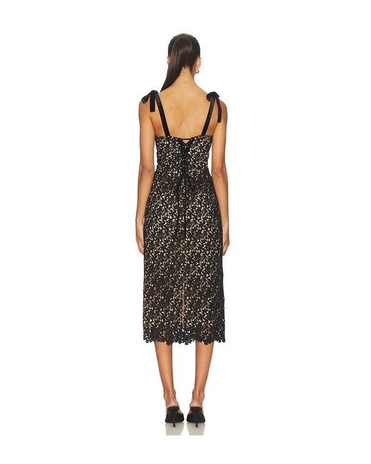 Astr Black Donne Dress