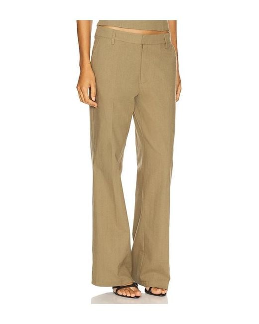 Lioness Natural Hose Elements