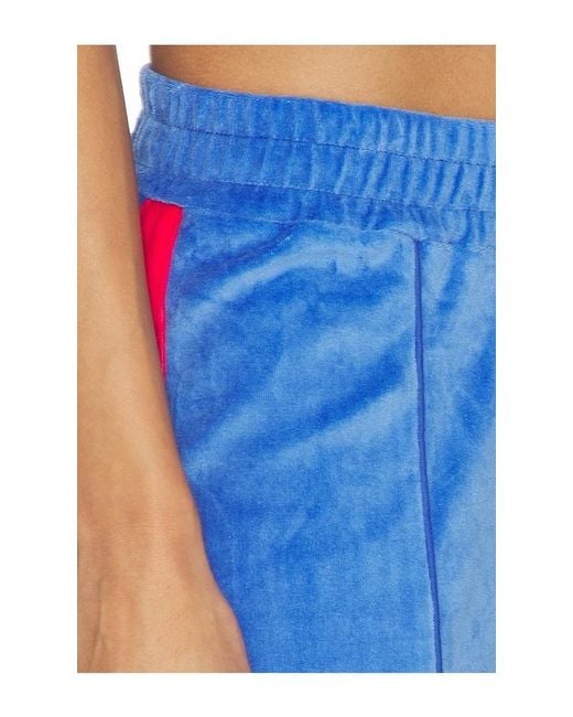 Araminta James Blue Velour Stripe Trackpant