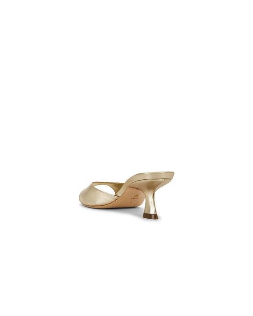 Raye White Magde Sandal