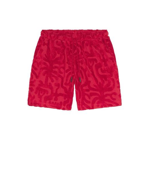 Oas Red Porto Shorts for men