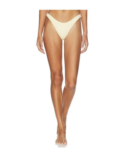Juillet White Bee Bottom
