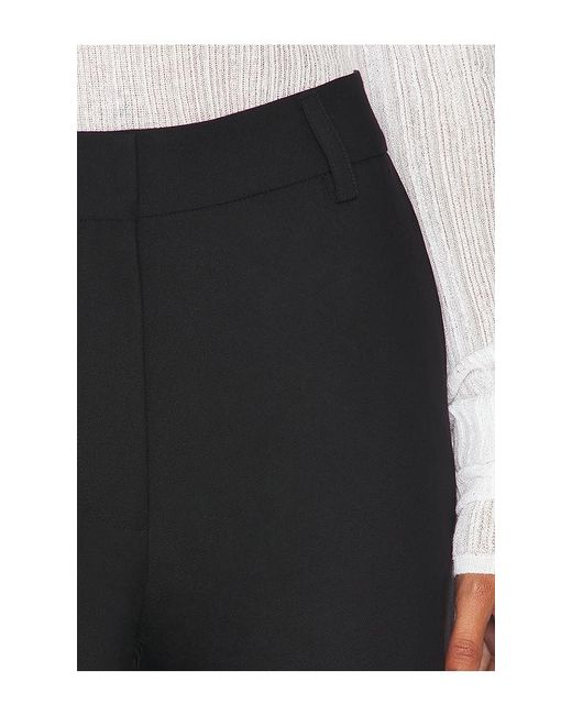 Steve Madden Black Junia Pant