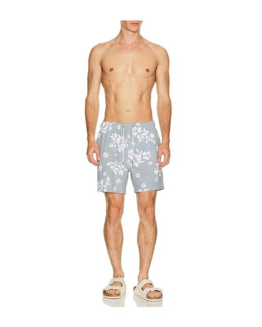 Vintage Summer Blue Seersucker Strech Volley Swim Trunks for men