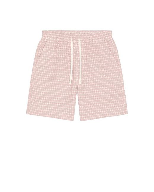 CHE Pink Danni Shorts for men