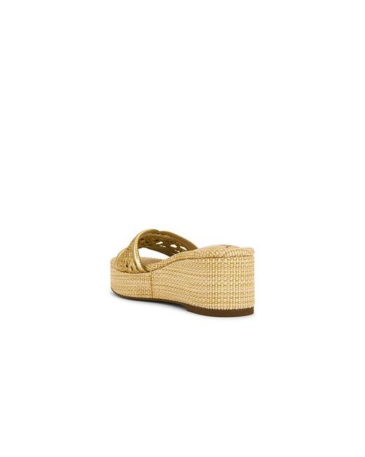 Sam Edelman Metallic Pauleena Weave Sandal