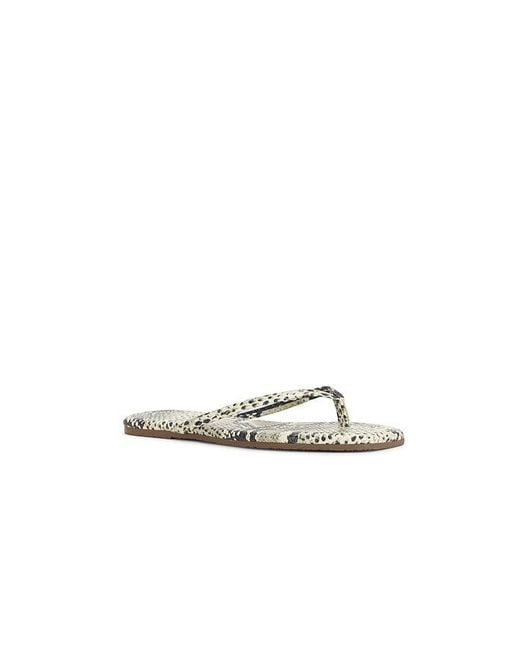 TKEES Multicolor Square Toe Lily Sandal