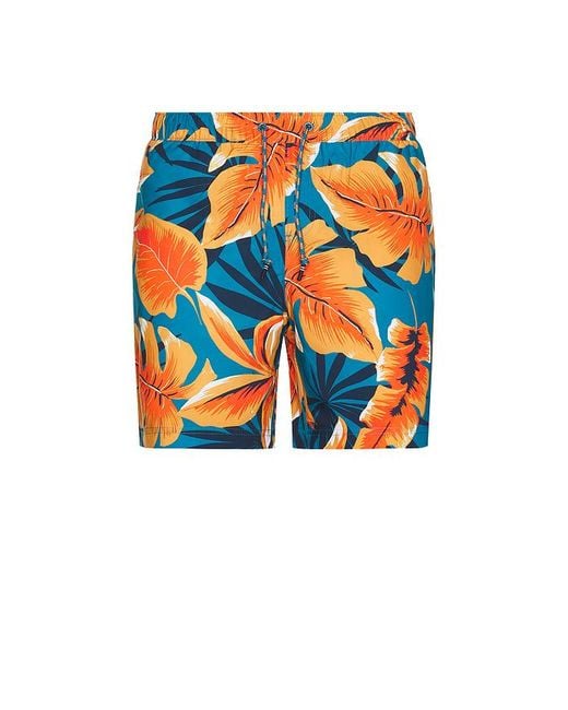 Original Penguin Badeshorts in Blue für Herren