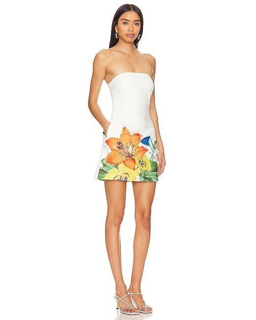 Runaway the Label Multicolor Primrose Dress