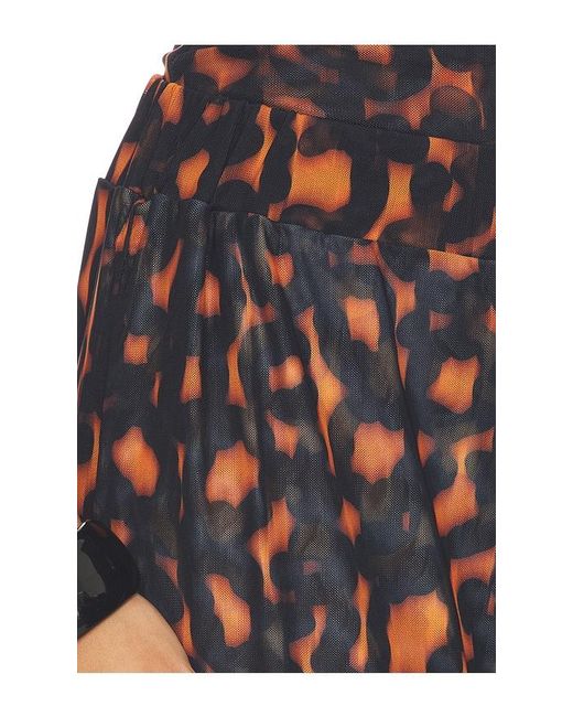 Eywasouls Malibu Brown Seby Pant