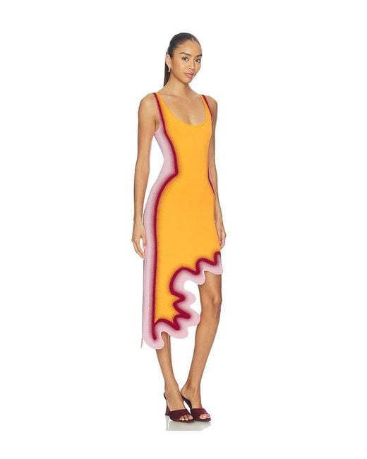 Ph5 Orange Aster Reversible Wavy Dress