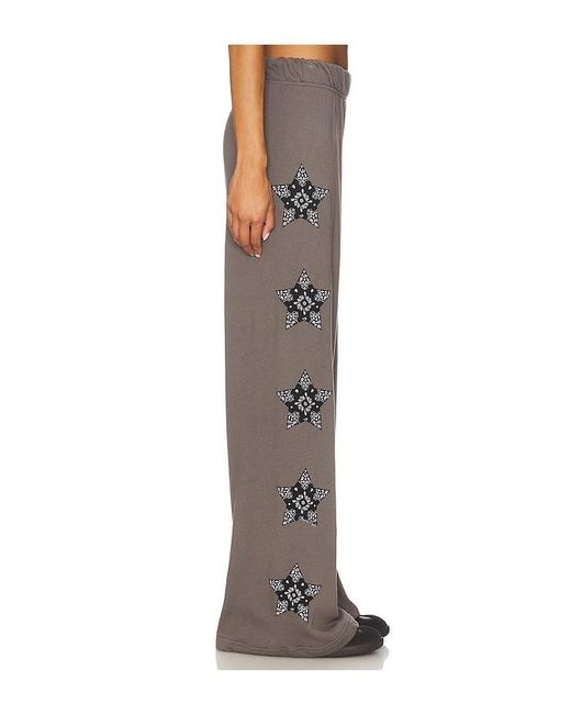 Lauren Moshi Brown Horse Wide Leg Pant