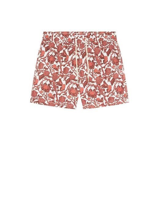 ARRELS Barcelona Red Kabak X Lazaro Rosa Violan Classic Swim Shorts for men