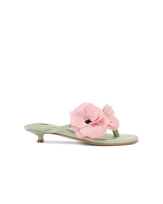 Sleeper Pink Poppies Kitten Heel