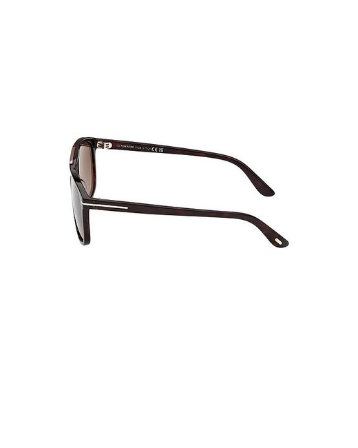 Tom Ford Brown Brianna Sunglasses