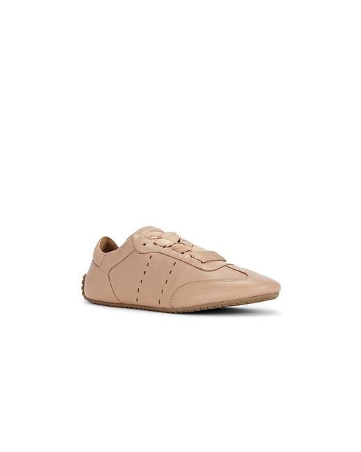 Odissi Multicolor Cass Lace Up Sneaker
