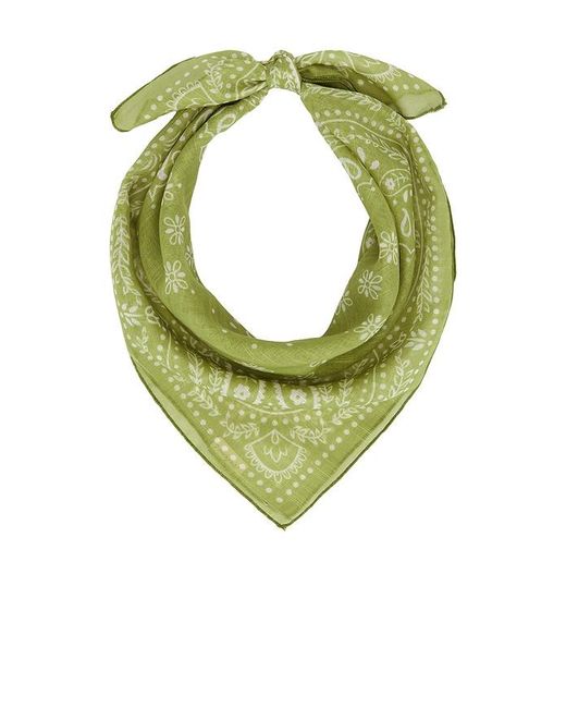 Casa Clara Multicolor Darcy Scarf