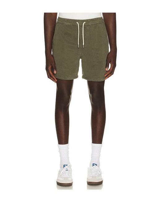NN07 Green Gregor Shorts for men