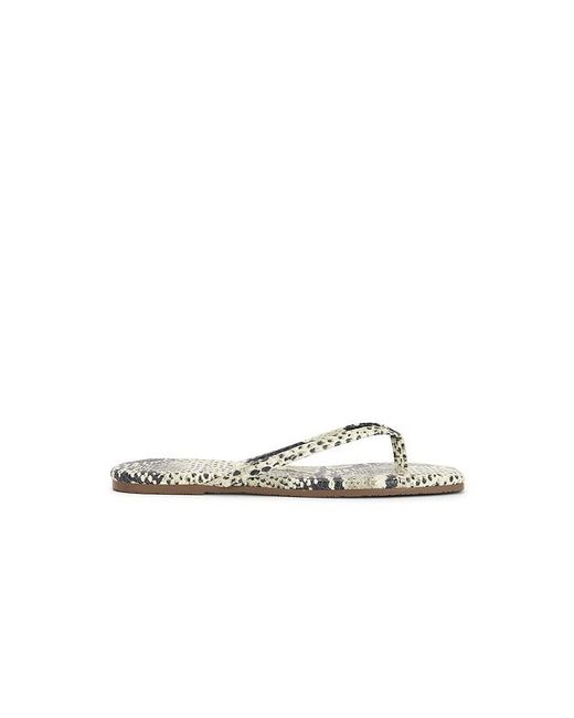 TKEES Multicolor Square Toe Lily Sandal