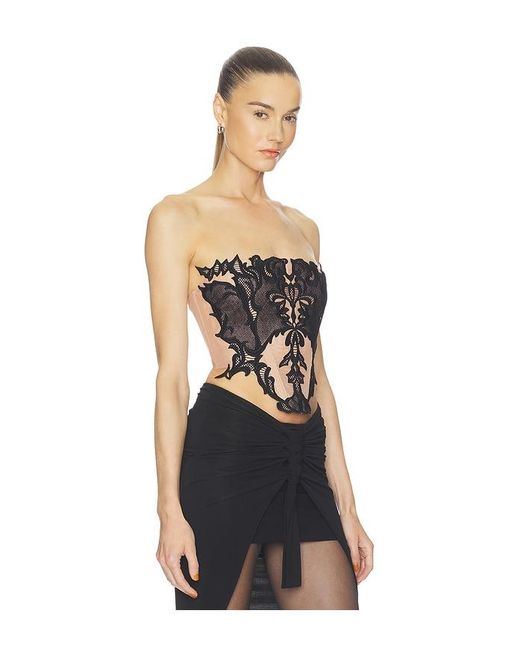 Halo Black Wing Lace Corset