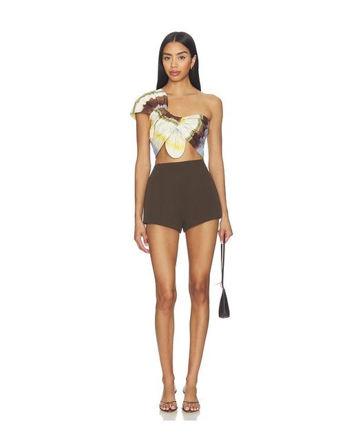 JBQ Multicolor Sol Top