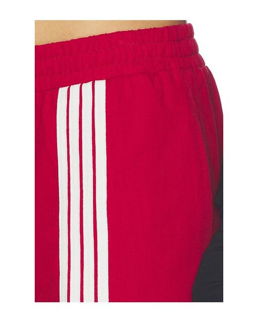 Lioness Red Eye Track Pant