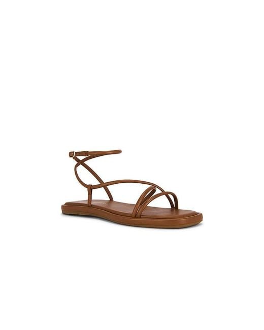 Loeffler Randall Multicolor Noor Strappy Ankle Wrap Flat Sandal