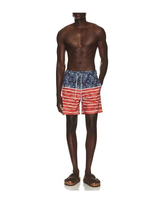Trunks Surf & Swim Red Sano 6.5 Swim Short for men
