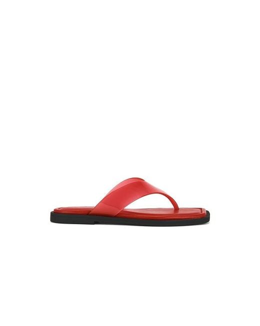 STRING GRACIE en Red Rag & Bone