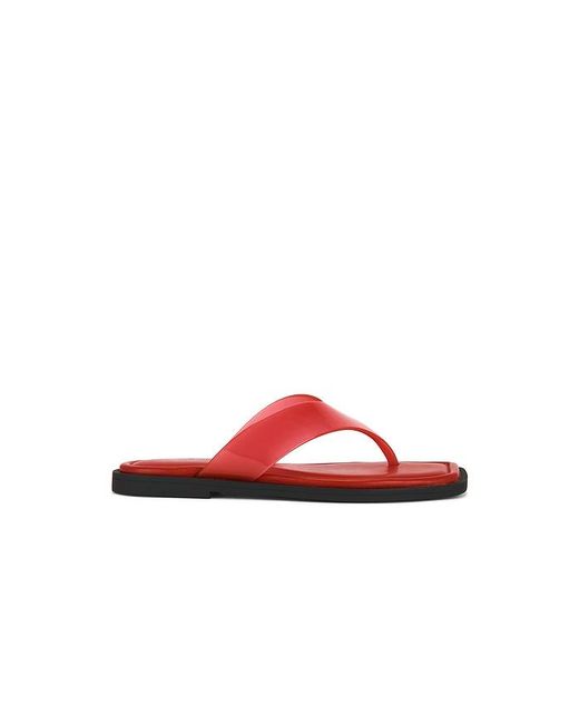 Rag & Bone Red Gracie Jelly Thong