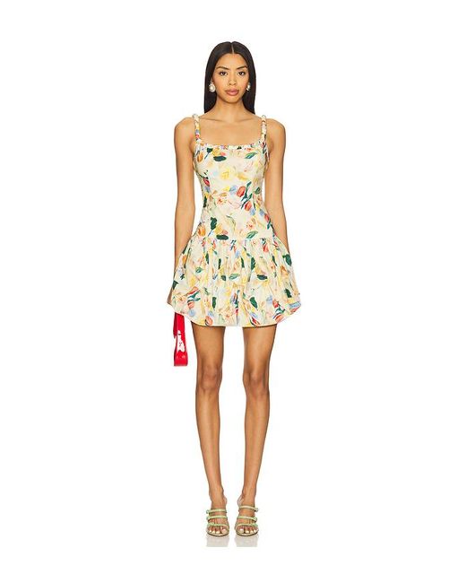 Astr Multicolor Minikleid Keyla