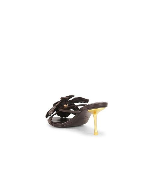 Cult Gaia Multicolor Valoria Sandal