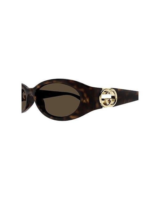 Gucci Brown Hailey Oval Sunglasses