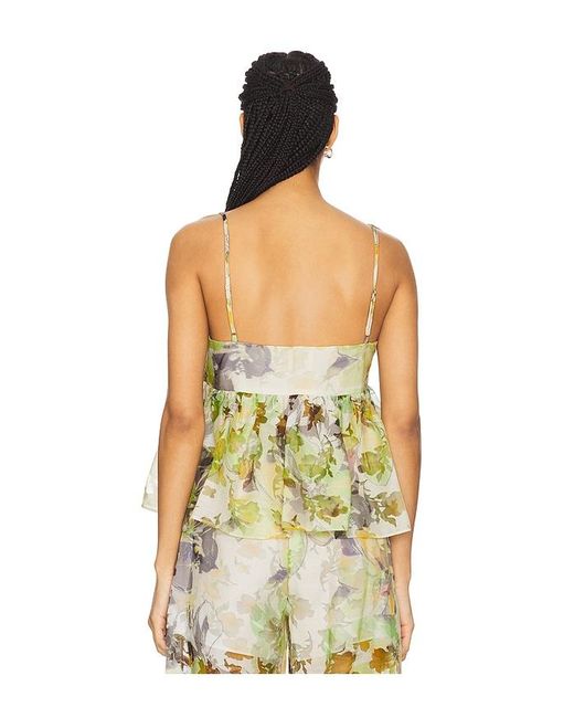 MISA Los Angles Multicolor Trista Top