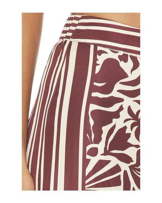 Astr Multicolor Eva Pants