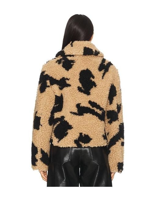 MSGM Brown Follow The Rabbit Jacket