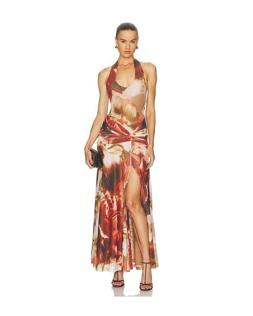 Bardot White Sariba Halter Mesh Midi Dress