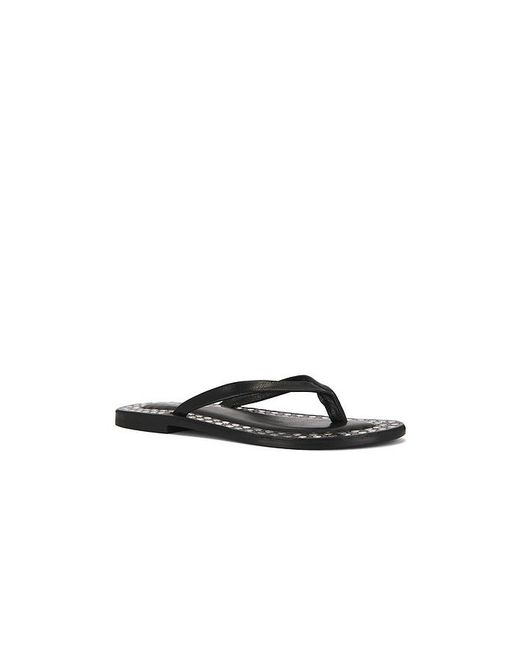 Jeffrey Campbell Black Katrina Strap Sandal