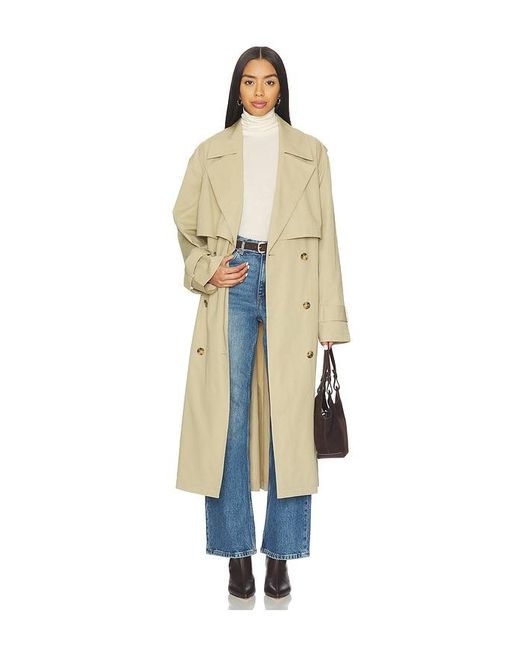 Dr. Denim Blue Echo Straight Jeans