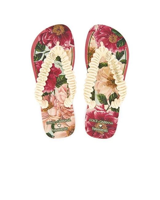 Havaianas Pink X Dolce & Gabbana Floral Sandal